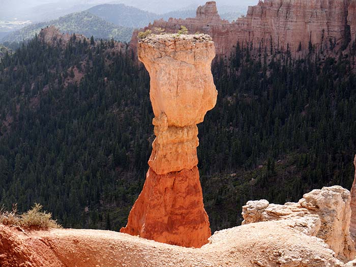 A hoodoo in Agua Canyon