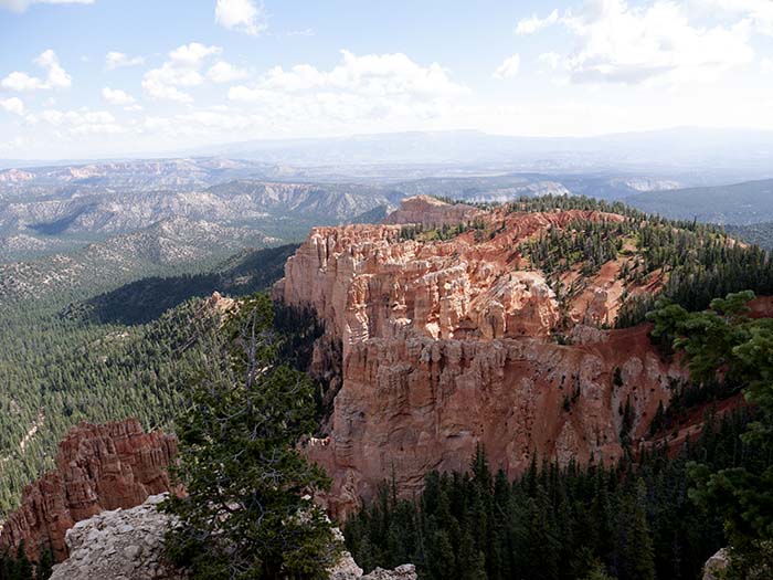 A view from Rainbow Point