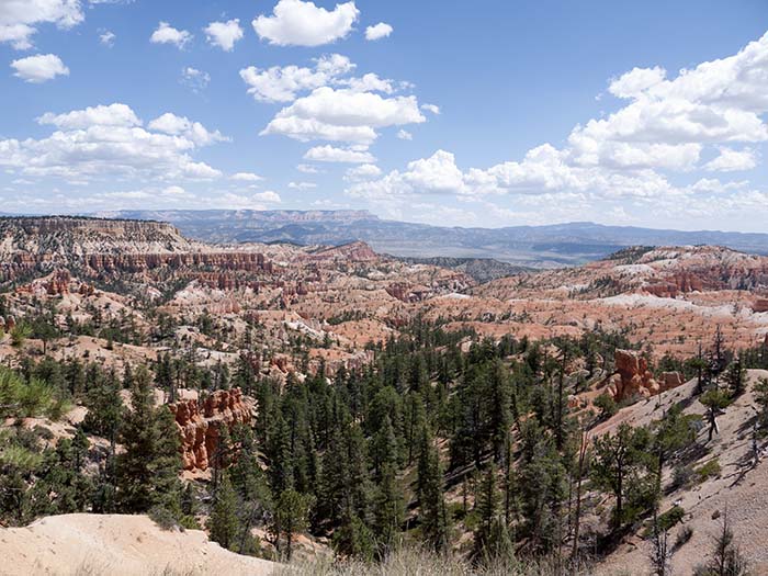 At the Queens Garden trailhead