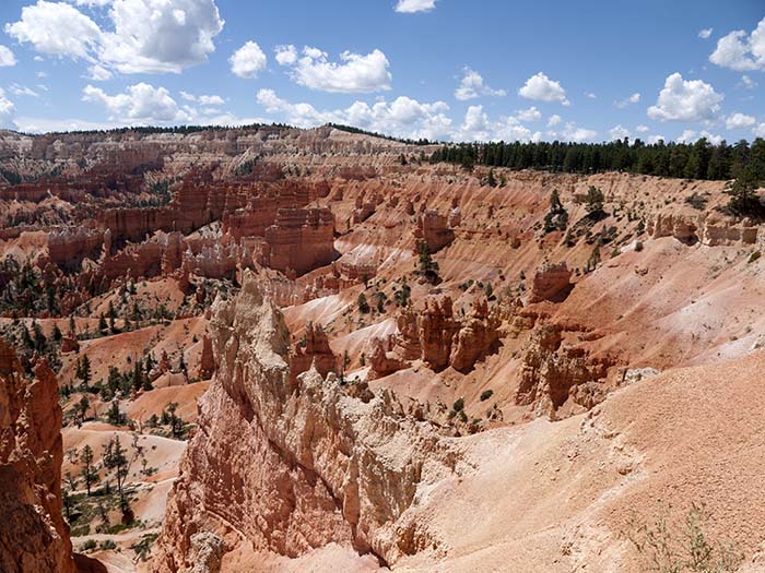 Down the Queens Garden trail