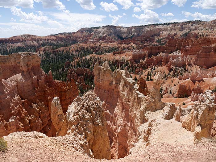 Down the Queens Garden trail