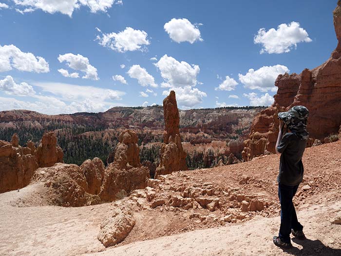 Down the Queens Garden trail