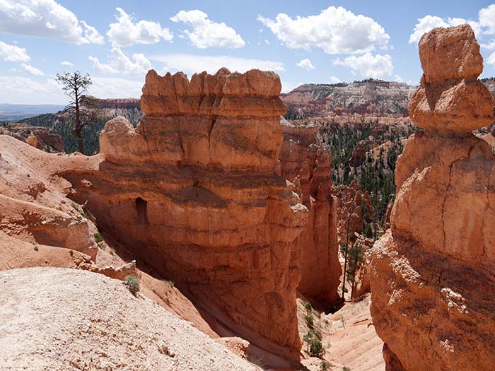 Down the Queens Garden trail (hoodoos)