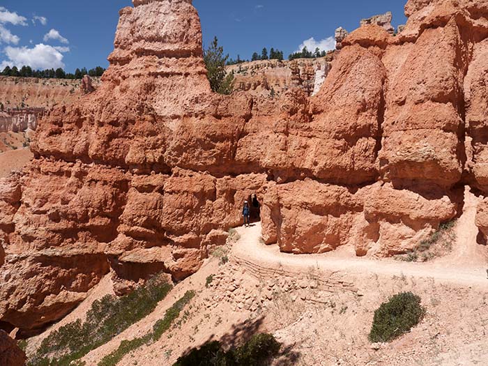 Down the Queens Garden trail