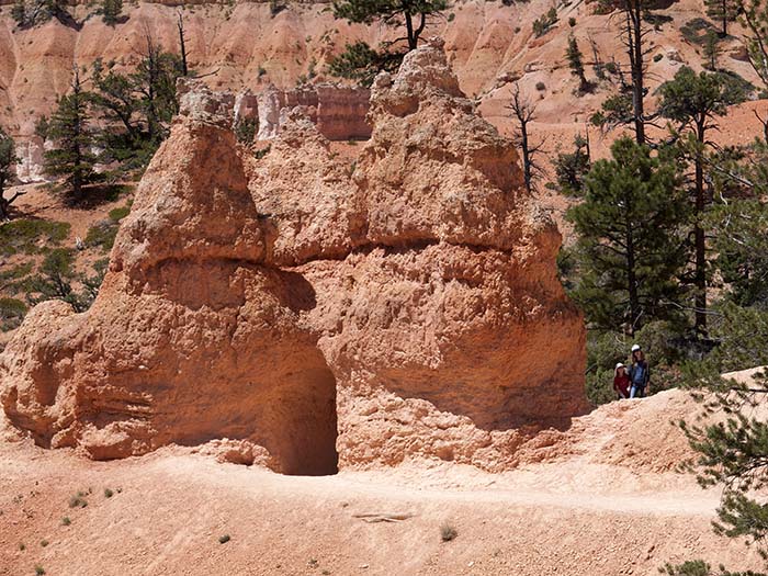 Down the Queens Garden trail
