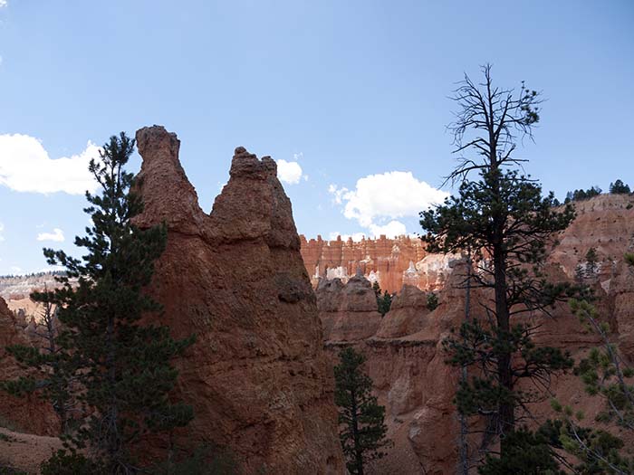 Up the Queens Garden trail (hoodoos)