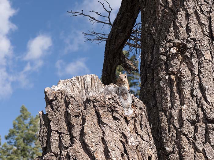 Bryce Canyon National Park