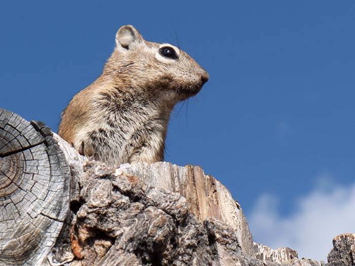 Bryce Canyon National Park