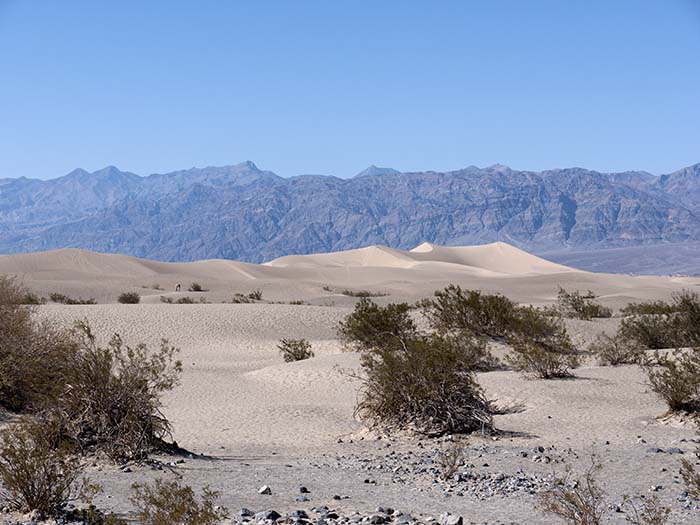 Dunes with Panamint mountains in the distance