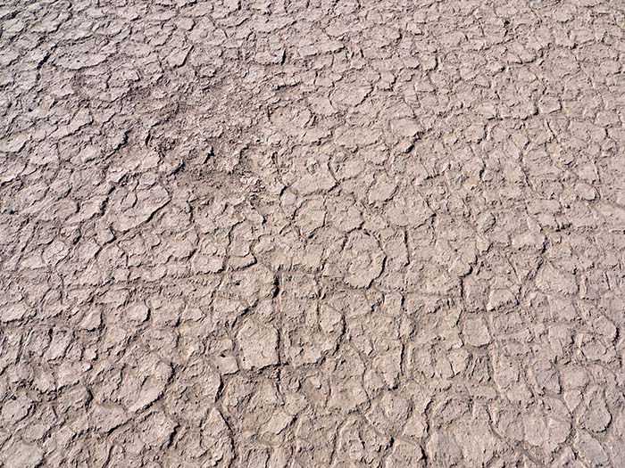 Natural tessellations