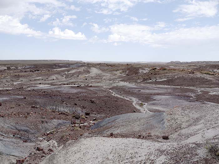 Petrified Forest