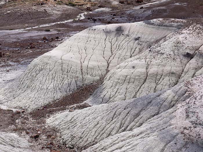 Petrified Forest