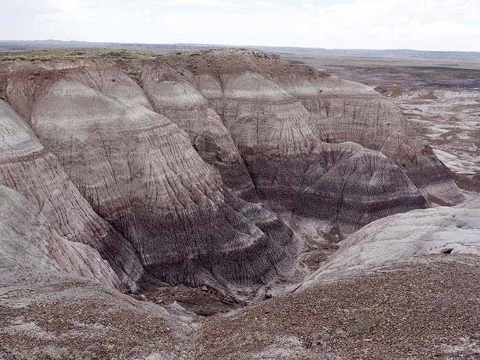 Petrified Forest