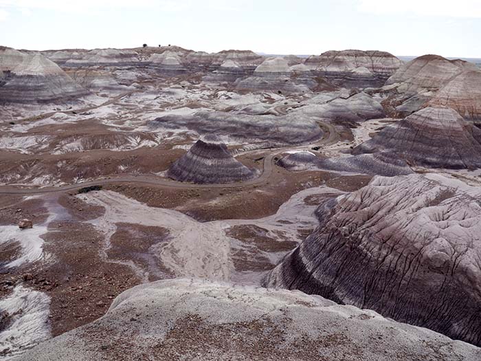 Petrified Forest