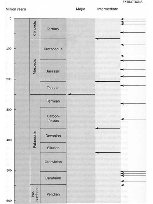 Major and minor extinctions