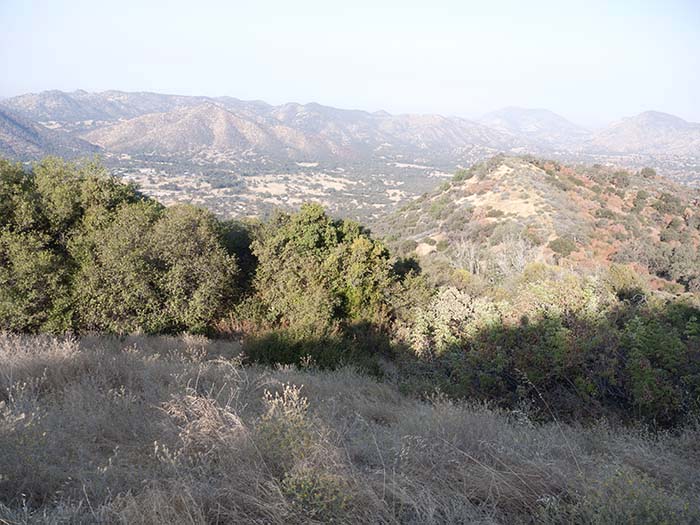 Entering Sequoia National Park
