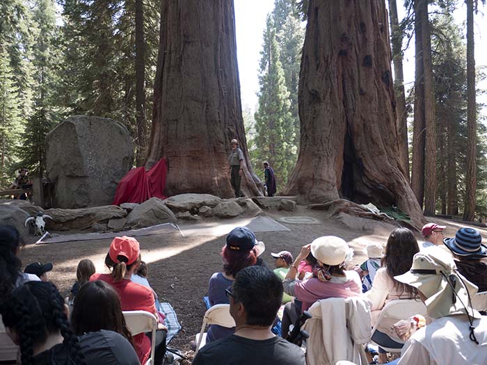 A performance at the park