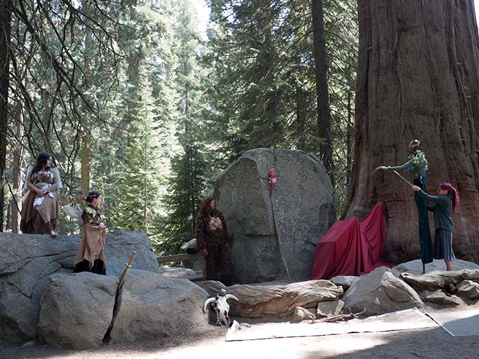 A performance at the park