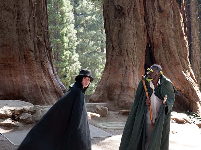 A performance at the park