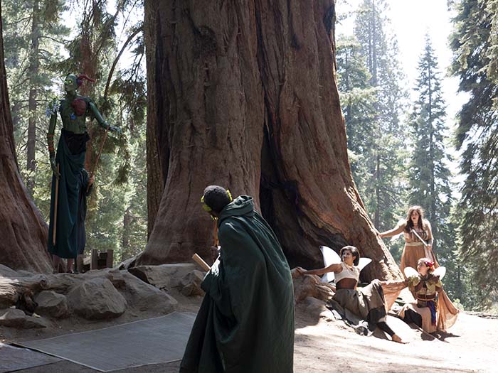 A performance at the park