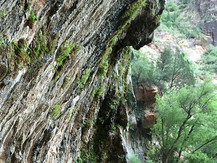 Weeping Rock