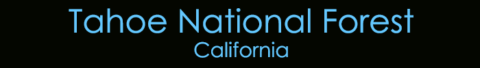 Tahoe National Forest