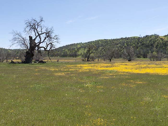 Approaching Carrizo Plain National Monument