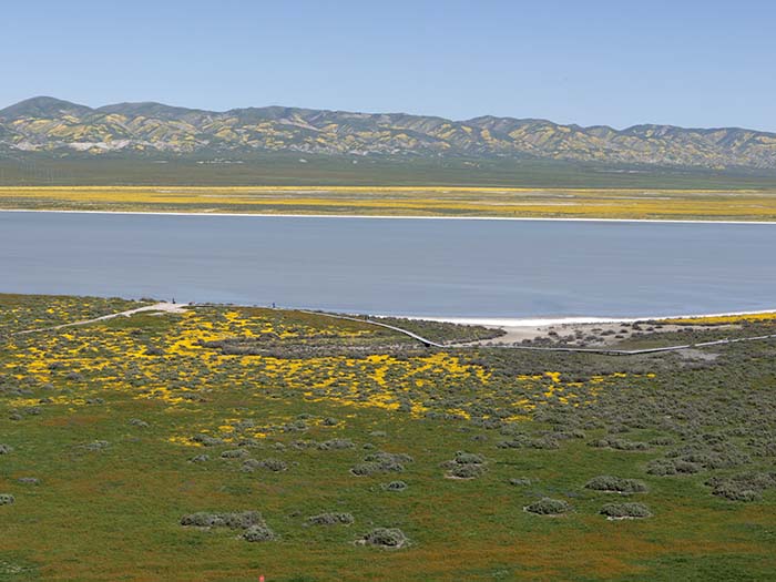 Soda Lake