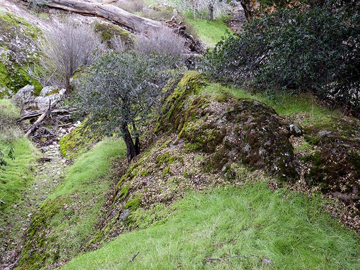 Where are the hobbits?